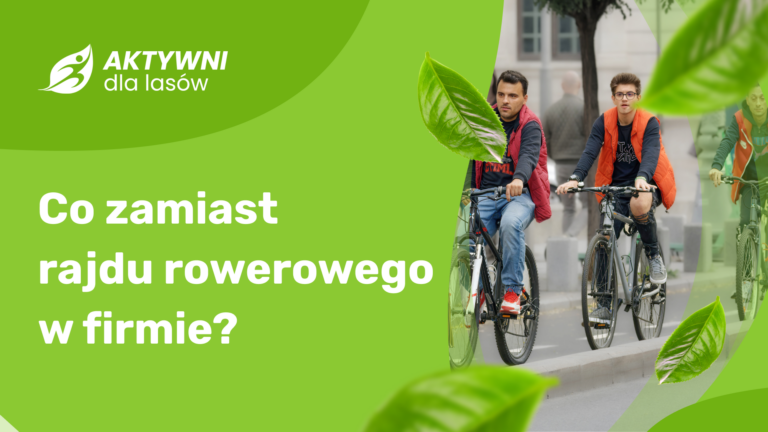 firmowe rajdy rowerowe